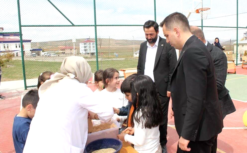Demirözü’nde çim adamı etkinliği