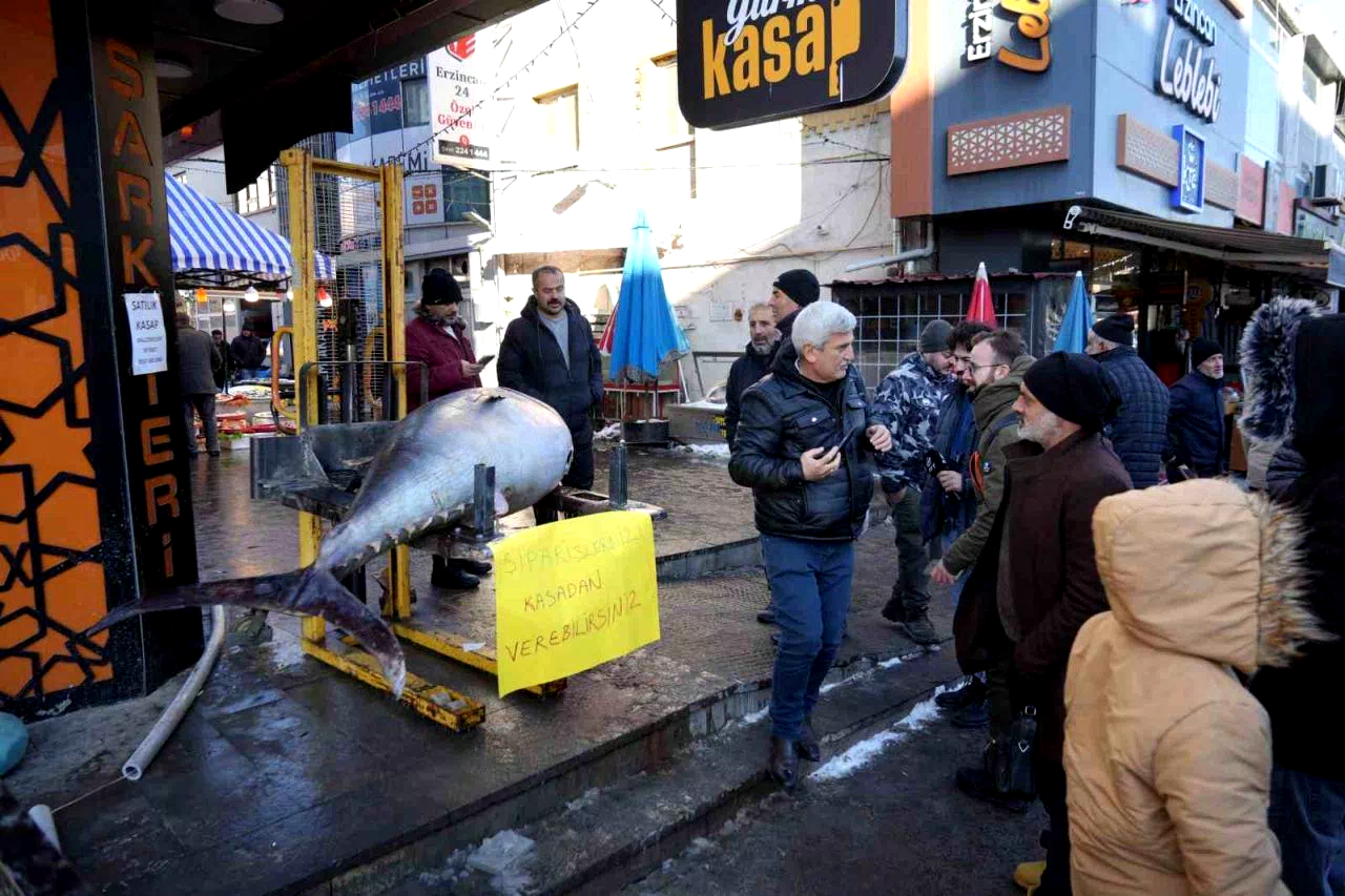 Dev Orkinos Erzincan’da olay oldu! Tezgâh önünde fotoğraf yarışı