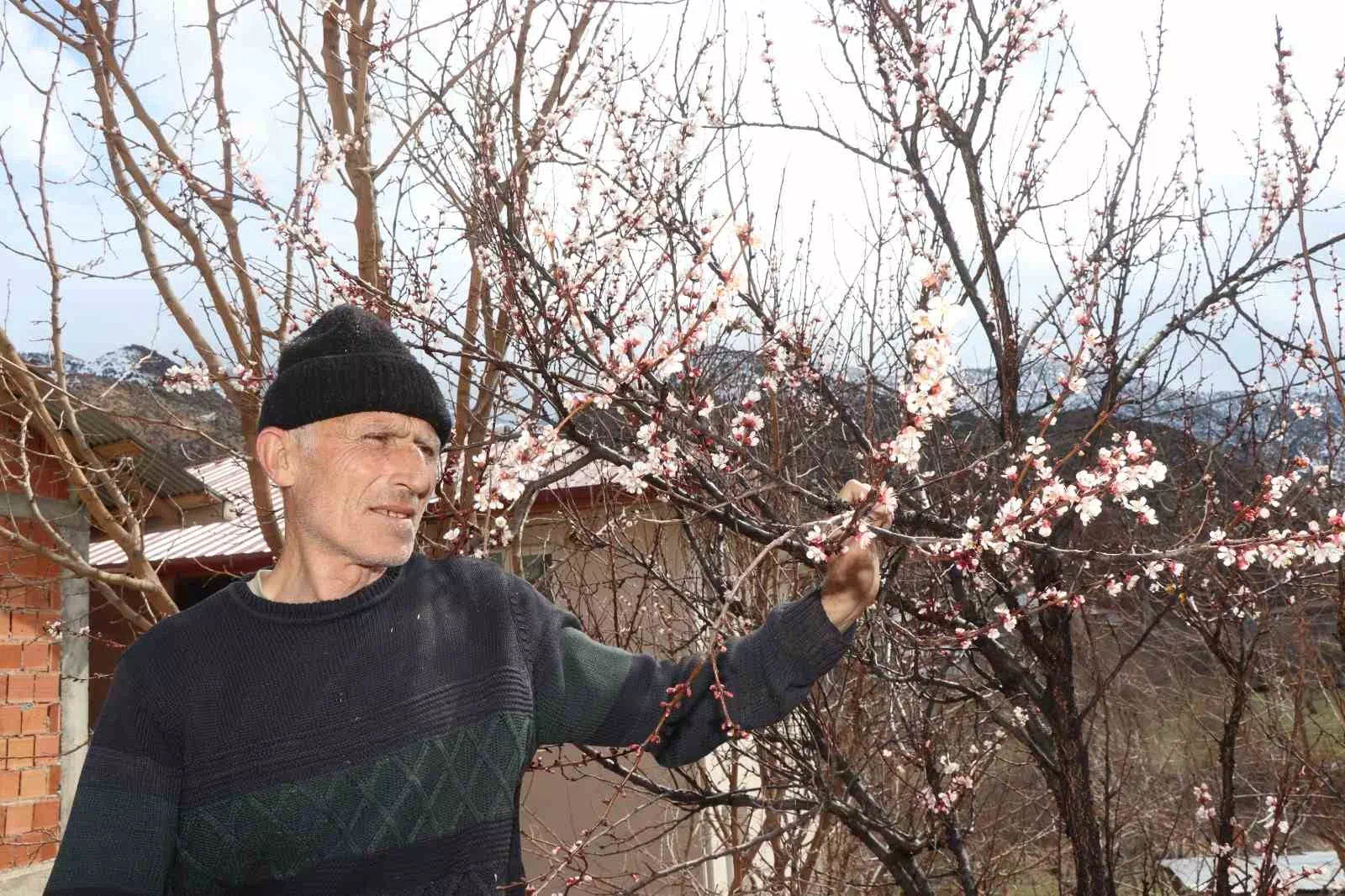 Doğu Anadolu’da Kar Yağışı Meyve Ağaçlarını Olumsuz Etkiledi