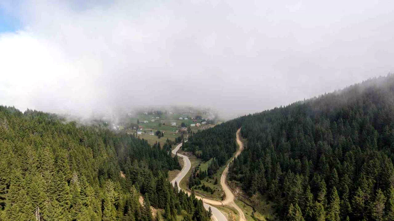 Doğu Karadeniz Bölgesinde heyelan alarmı