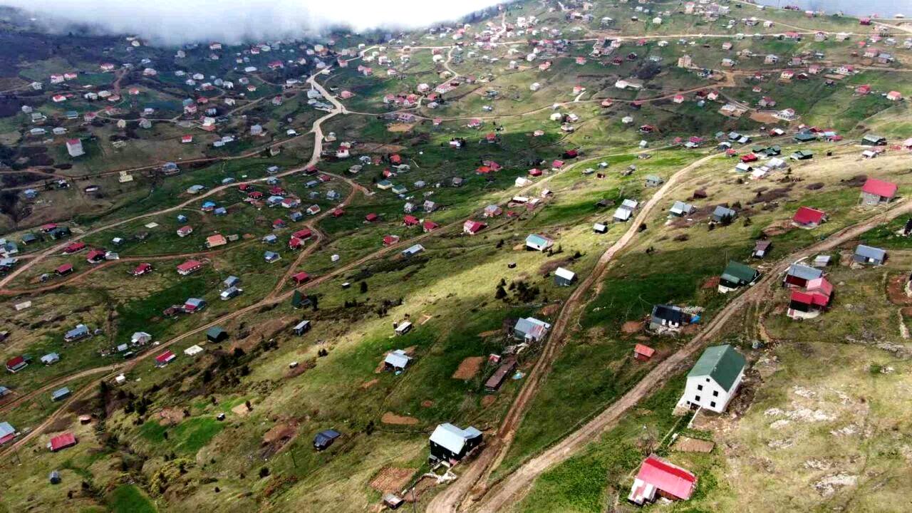 Doğu Karadeniz’deki yaylalar kaçak betonlaşma tehdidi altında