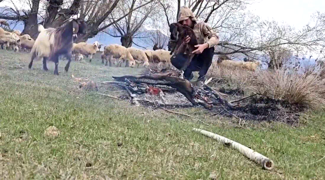 Doluya yakalanan sürüde ıslanan oğlağı ateş yakarak ısıttı