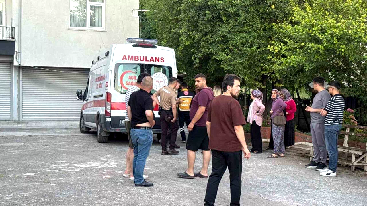 Dut toplarken ağaçtan düşüp yaralandı