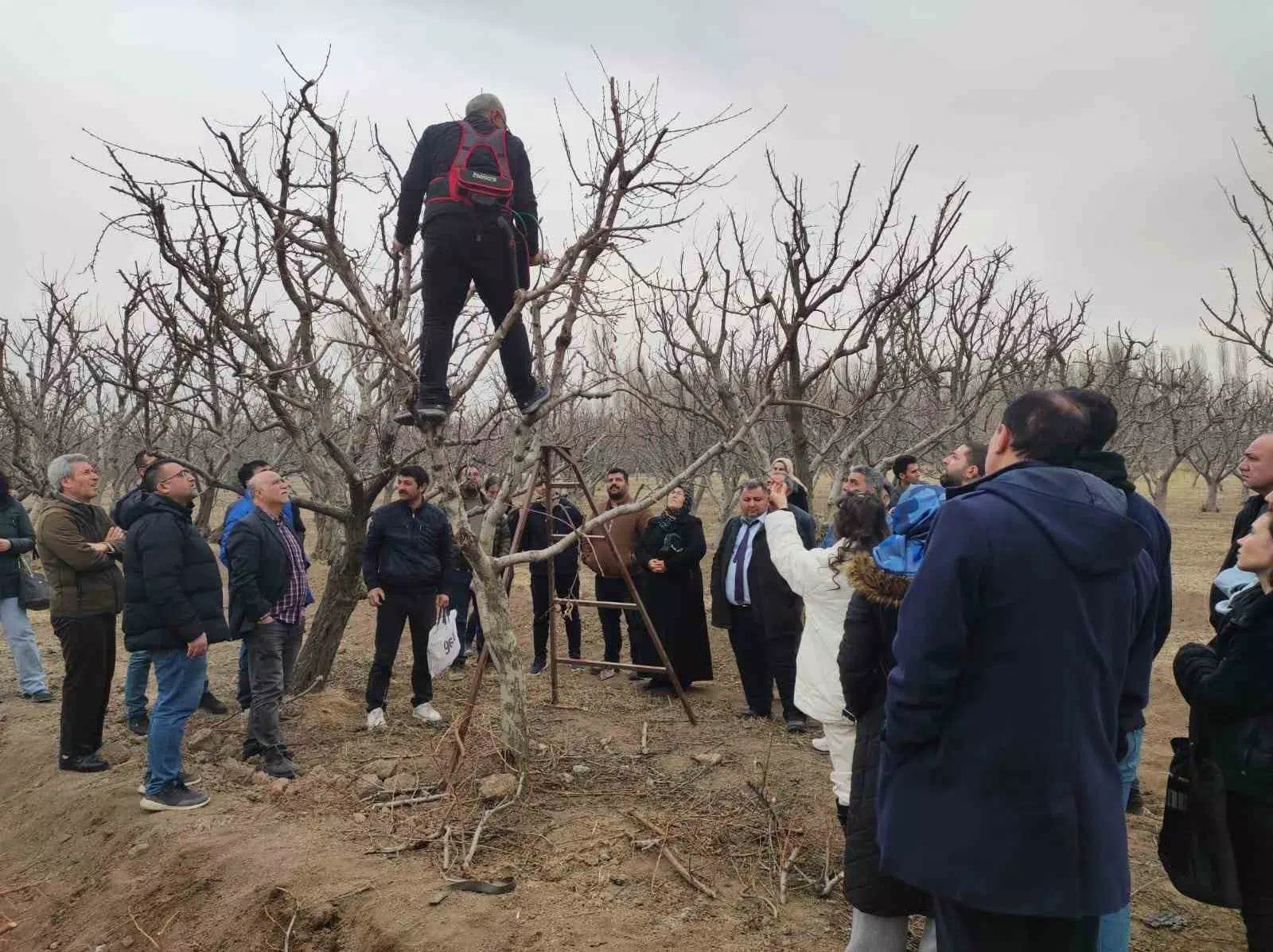 Erzincan Bahçe Kültürleri Araştırma Enstitüsü, Tarım Akademisi ile Tarımsal Bilgileri Çiftçilere Aktaracak.