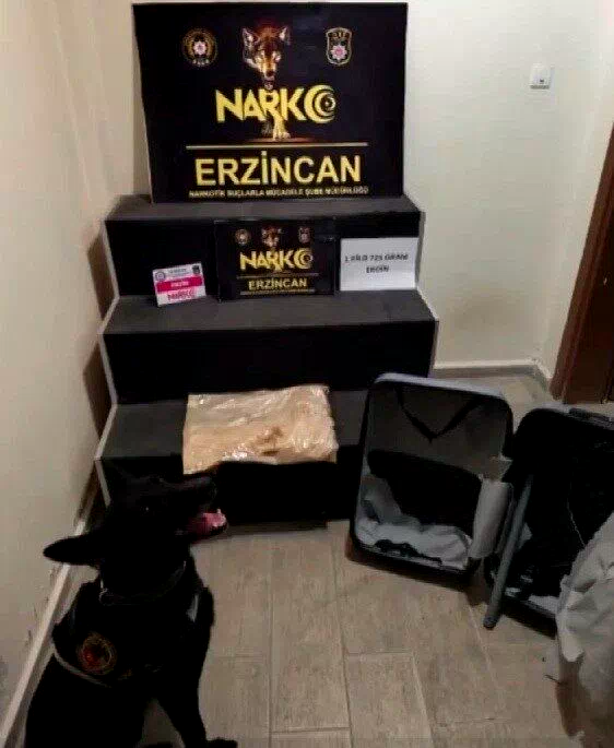 Erzincan’da 1 kilo 725 gram eroin ele geçirildi, 1 şüpheli tutuklandı