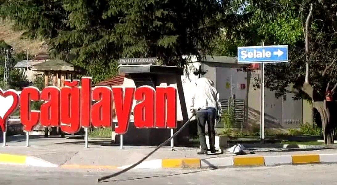 Erzincan’da arı paniği
