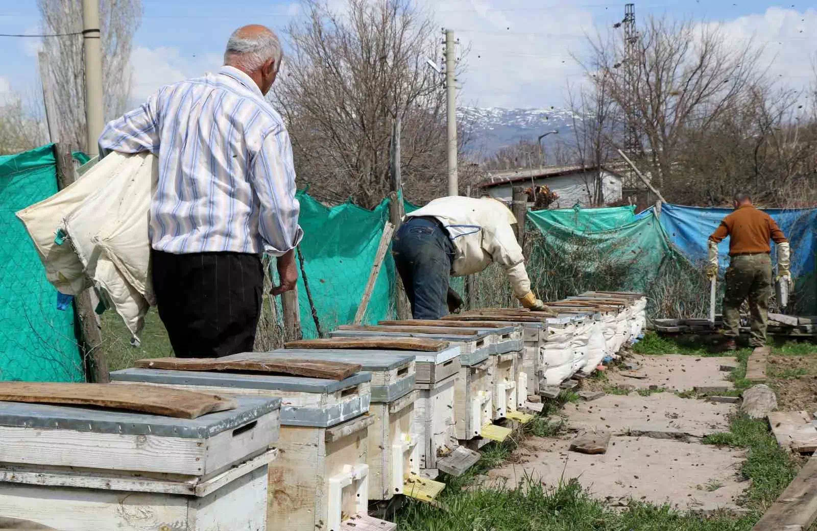 ERZİNCAN’DA BAHARLA BİRLİKTE ARILAR ÖZGÜRLÜĞÜNE KAVUŞTU