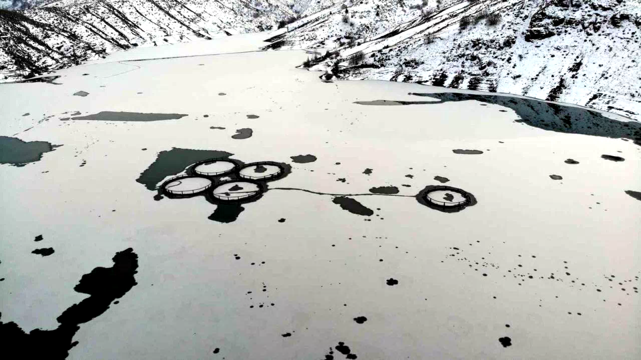 Erzincan’da baraj buzla kaplandı