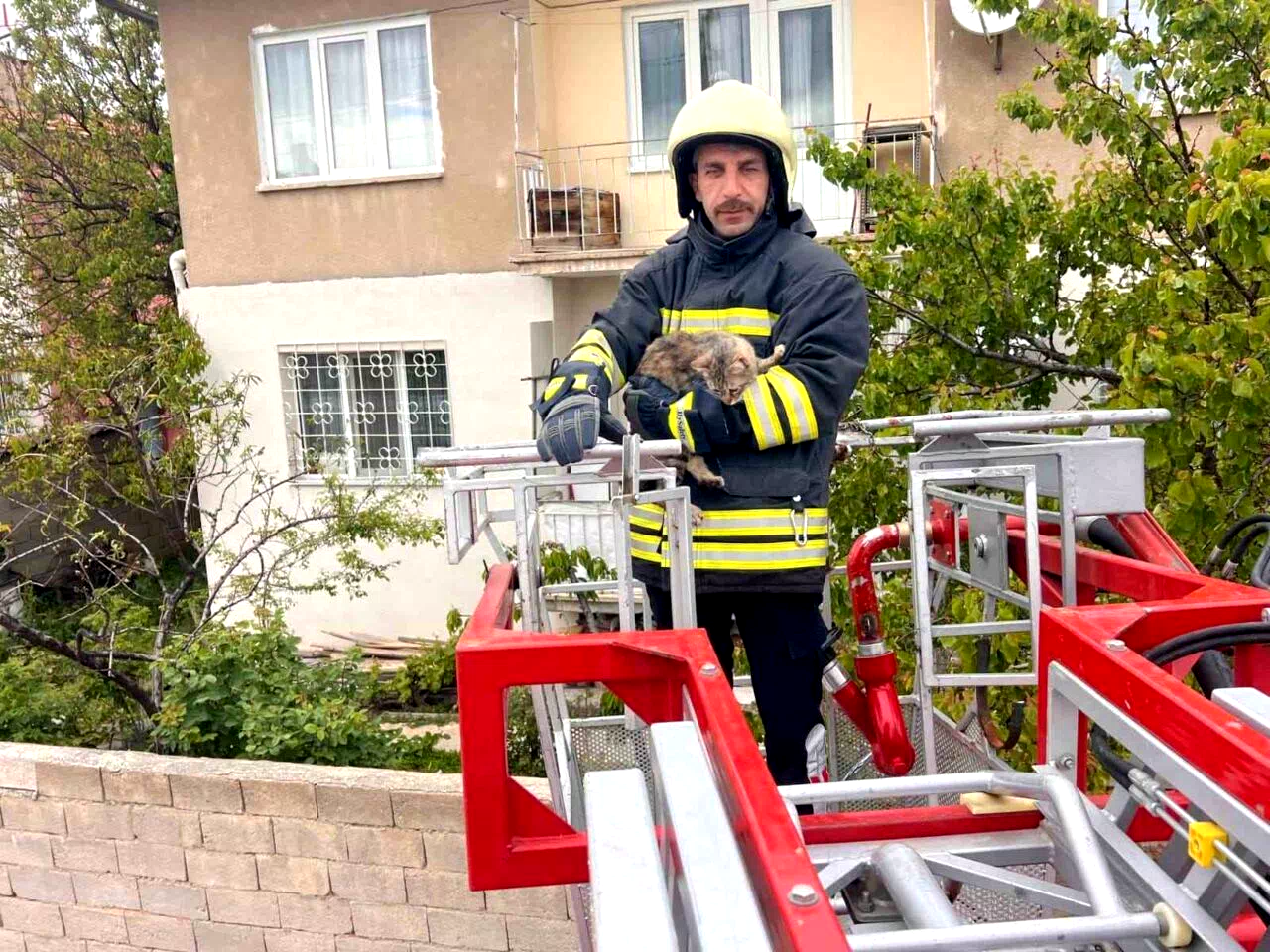 Erzincan’da çatıda mahsur kalan kedi itfaiye ekiplerince kurtarıldı