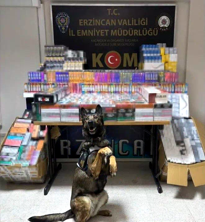 Erzincan’da dedektör köpeği hera, 11 bin 600 kaçak ürünü yakalattı
