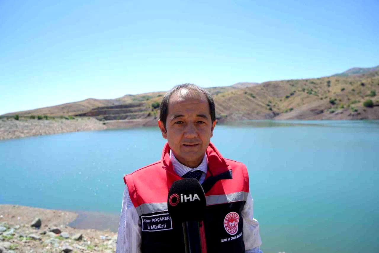 Erzincan’da Göyne Barajına 200 bin yavru sazan balığı bırakıldı