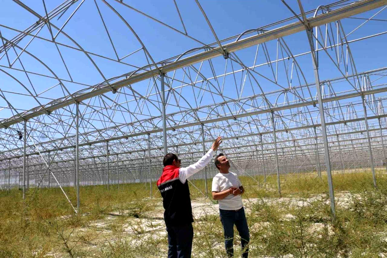 Erzincan’da jeotermal sera yatırımları devam ediyor