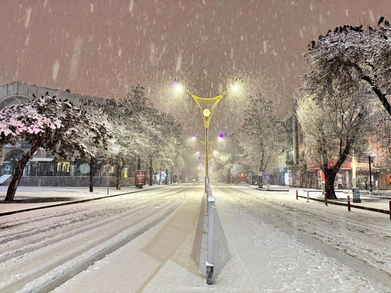 Erzincan’da kar yağışı hayatı olumsuz etkiledi