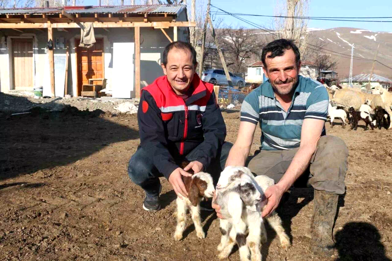 Erzincan’da koyunculuk kredisi 1 milyon 200 bin liraya yükseltildi