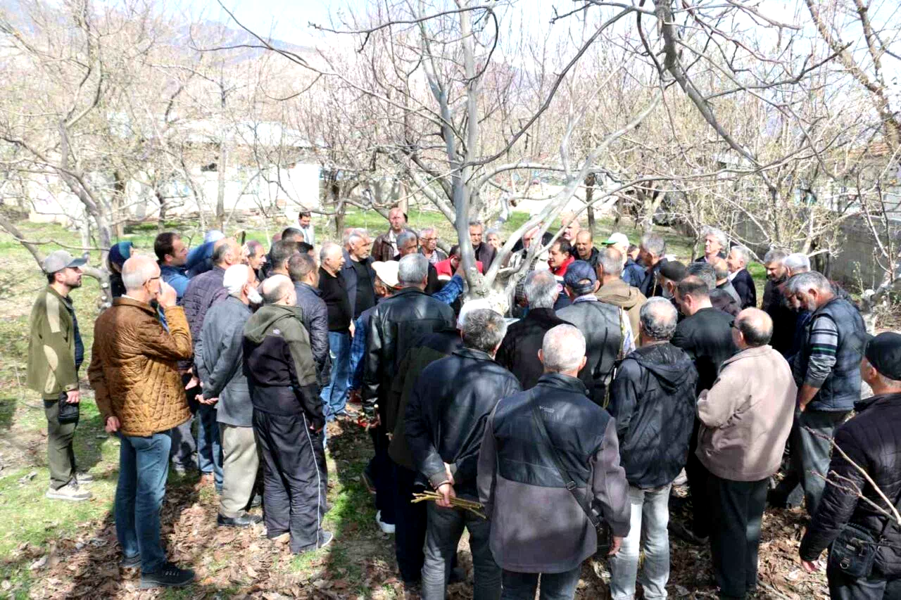 Erzincan’da meyve ağaçlarında budama eğitimi düzenlenecek
