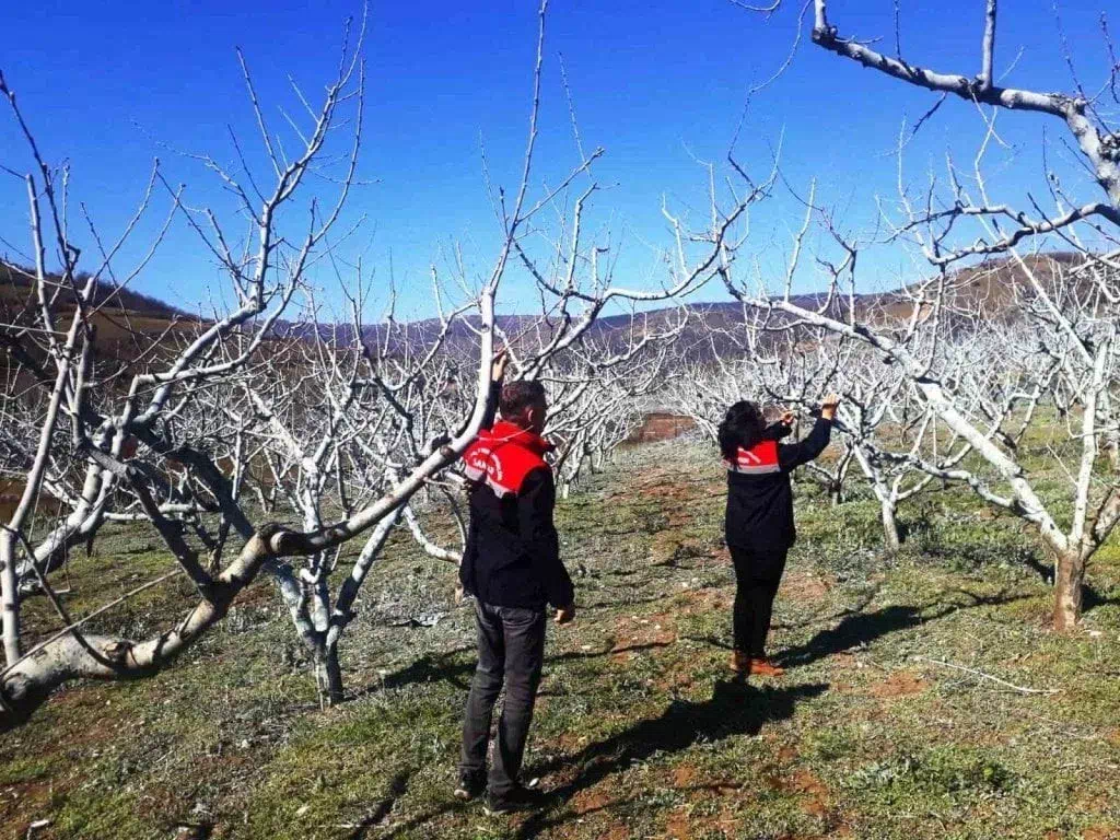 ERZİNCAN’DA MEYVE BAHÇELERİNE BORDO BULAMACI UYARISI!