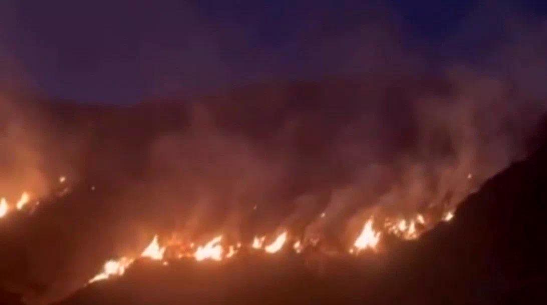Erzincan’da örtü yangını ormana sirayet etmeden kontrol altına alındı