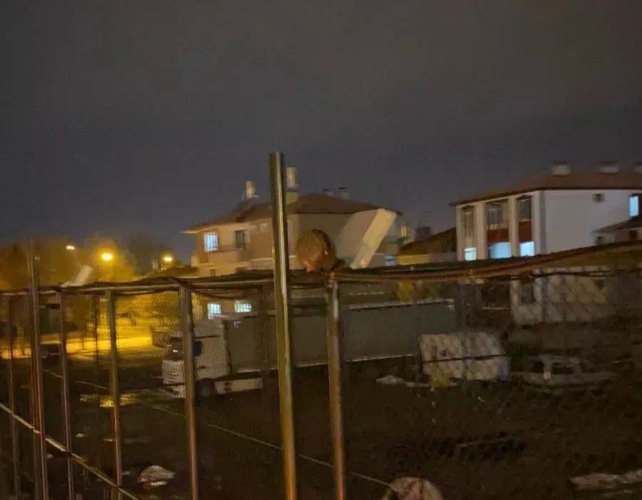 Erzincan’da park ışıklarının sütununda mahsur kalan kedi kurtarıldı.