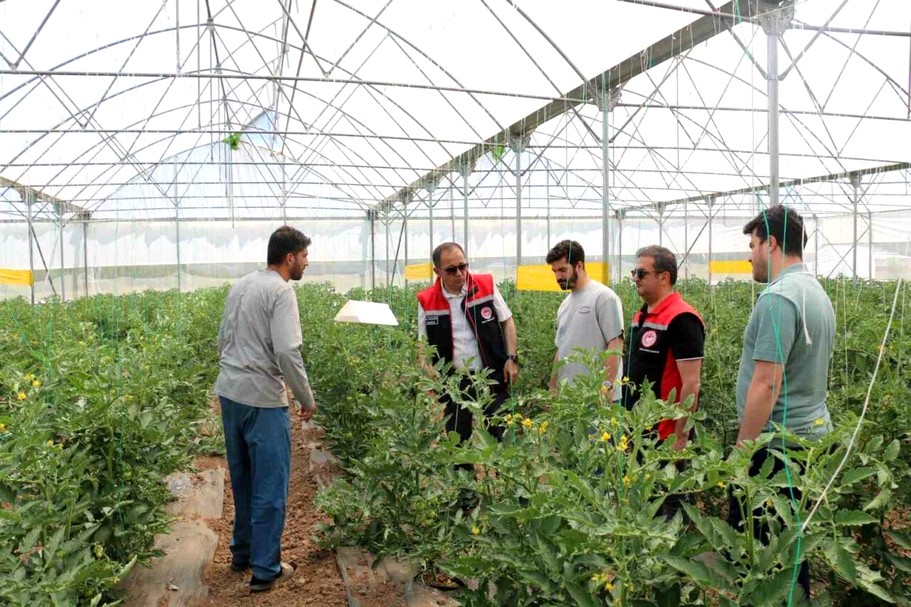 Erzincan’da seracılık faaliyetleri yerinde incelendi