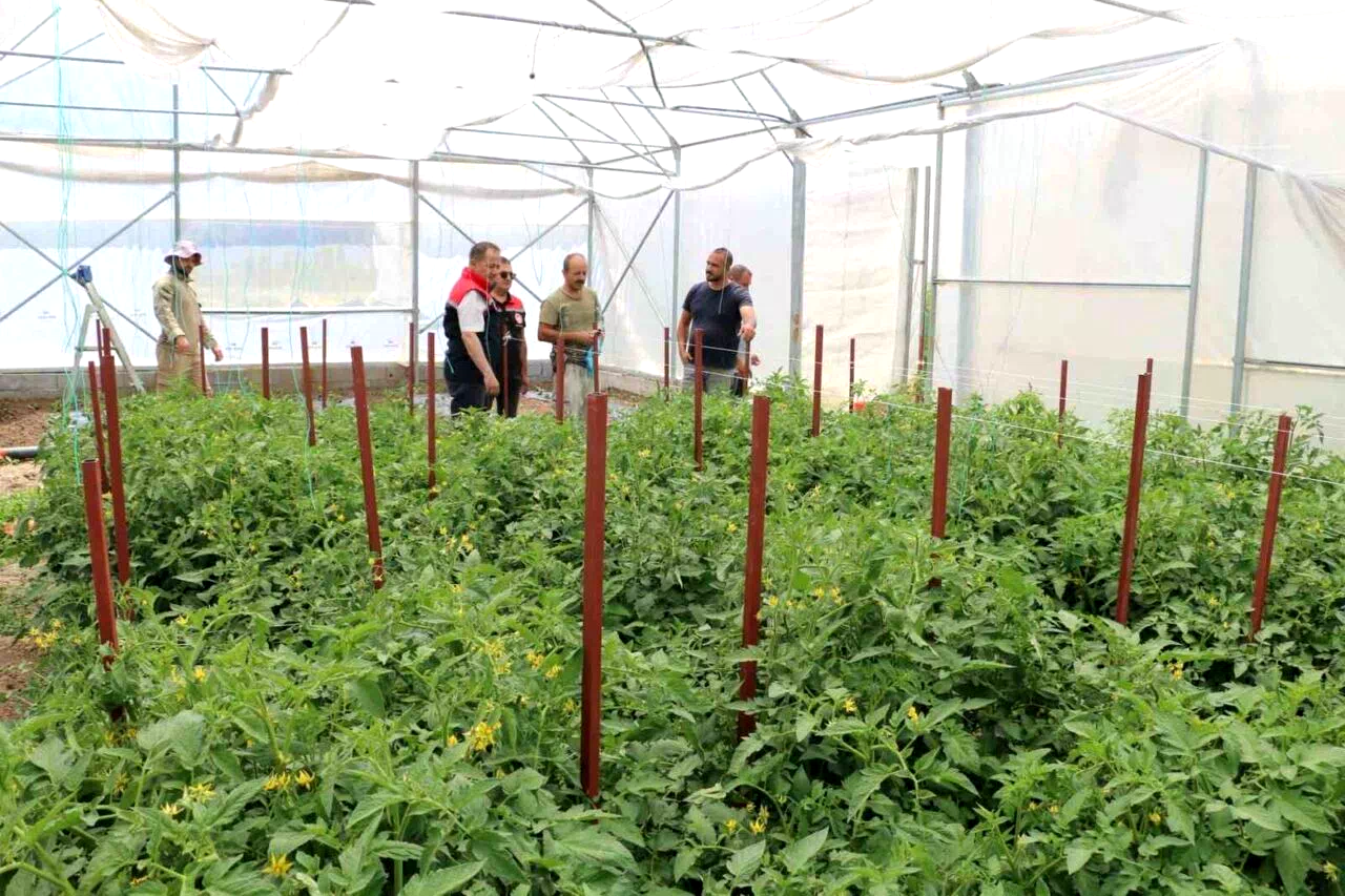 Erzincan’da seracılık yatırımları üretimi artırıyor