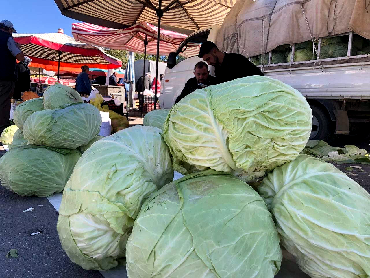 Erzincan’da turşuluk ve yemeklik lahanalar tezgahta yerini aldı