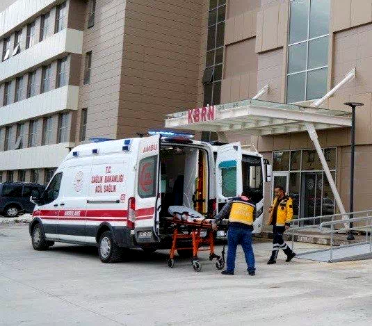 Erzincan’da üzüm bağında çalışan vatandaşa ayı saldırdı