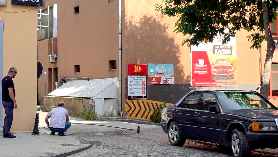Erzincan’da yavru kargayı vatandaşlar kurtardı