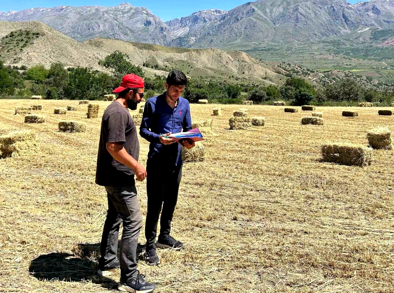 Erzincan genelinde yem bitkisi kontrolleri başladı