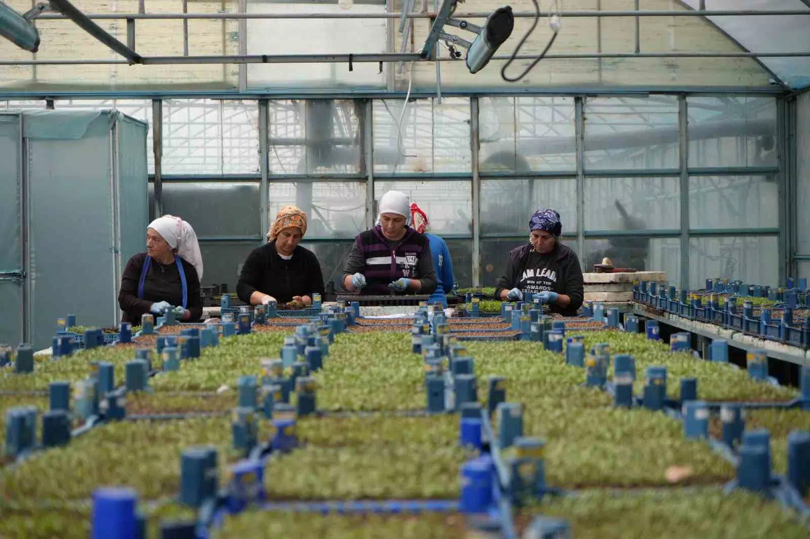 Erzincan’ın yüksek kesimlerinde kar: Seralarda zirai don için önlemler alındı