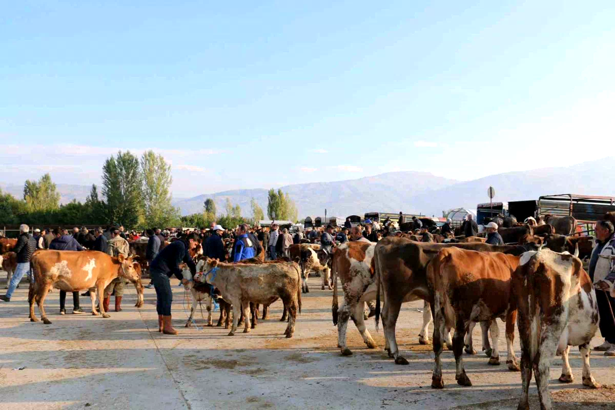 Erzincan’da hayvan yetiştiricilerine şap hastalığına karşı aşılama uyarısı
