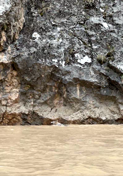 Erzincan’da kurtlarla yaban keçilerinin amansız mücadelesi kamerada