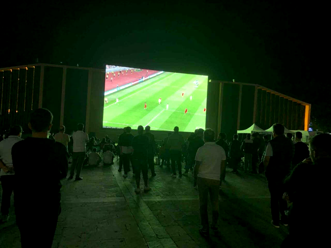 Erzincanlılar, A Milli Takım’ın galibiyet sevincini meydanda yaşadı