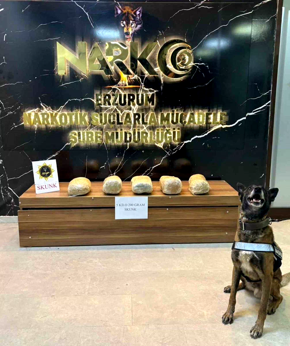 Erzurum’da 5 kilo 200 gram skunk maddesi ele geçirildi