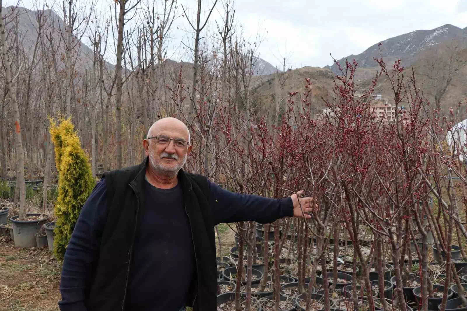 ERZURUM’DA FİDAN ÜRETİCİSİ KADİR YAŞAR, BÖLGEYE UYGUN FİDANLAR ÜRETİYOR VE KADIN İSTİHDAMINA DESTEK VERİYOR.