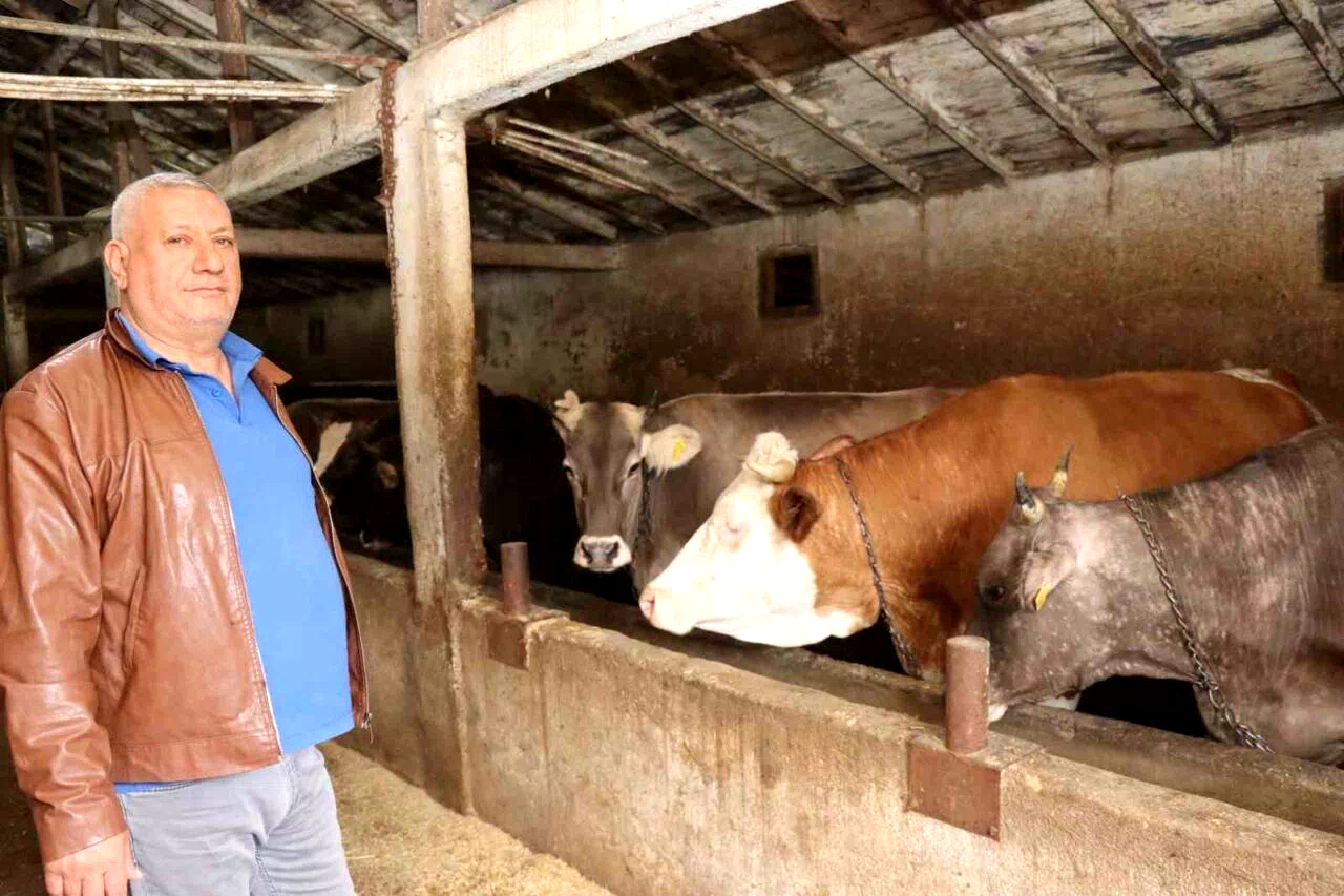 Erzurum’da kurbanlık satışında bekleyiş sürüyor