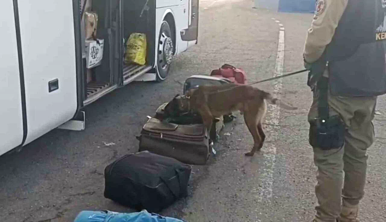 Erzurum’da narko operasyon