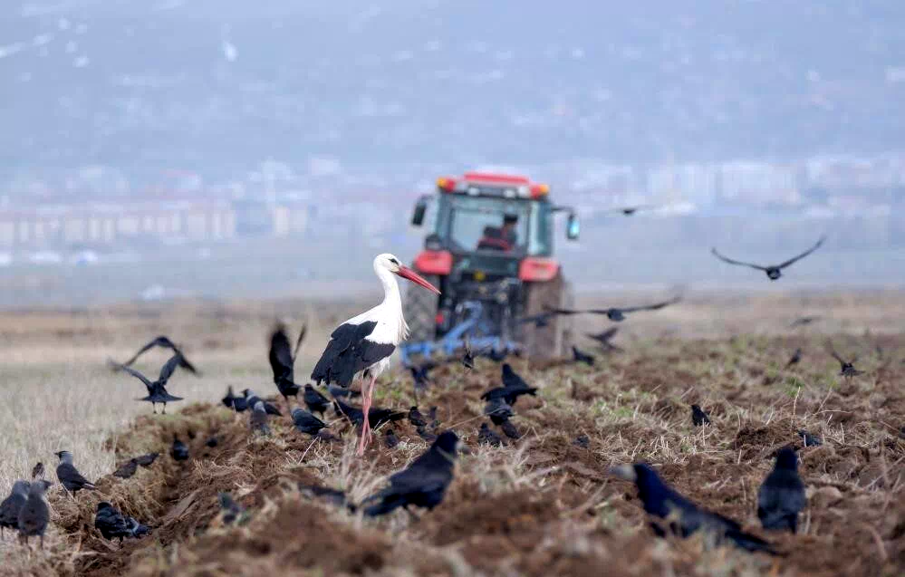 Erzurum’da traktör ve motosiklet sayısında artış var