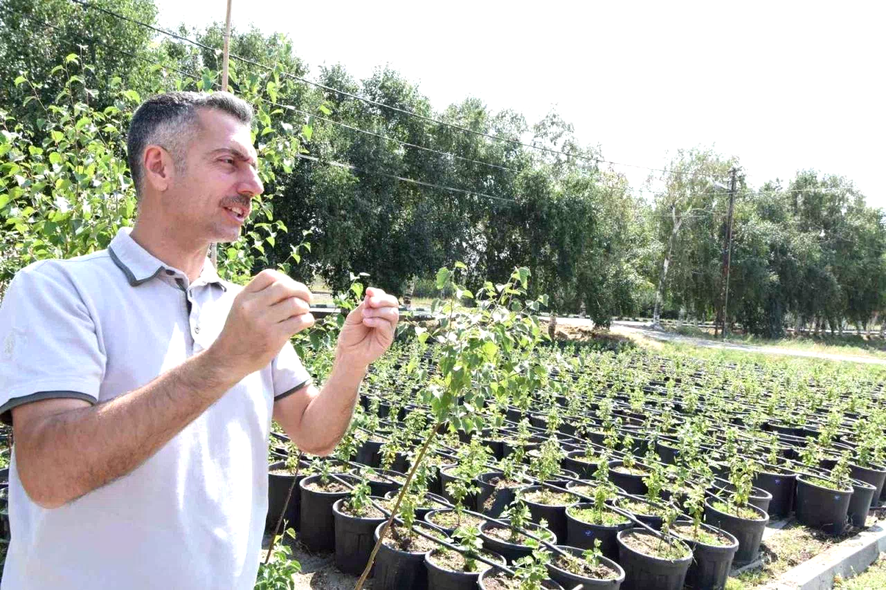Erzurum Orman Bölge Müdürü Karakurt: “Bölgede yıl sonuna kadar 908 bin fidan toprakla buluşturulacak”