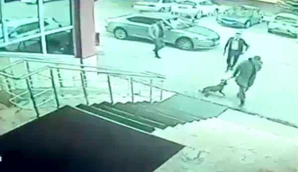 Erzurum Palandöken Kaymakamı ve korumasına soruşturma açıldı