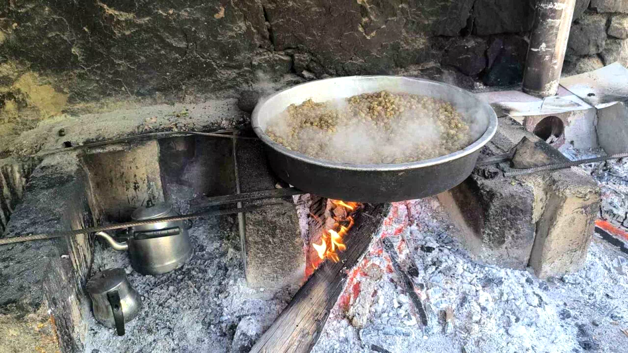 Erzurum Uzundere’de pekmez kazanları kaynıyor