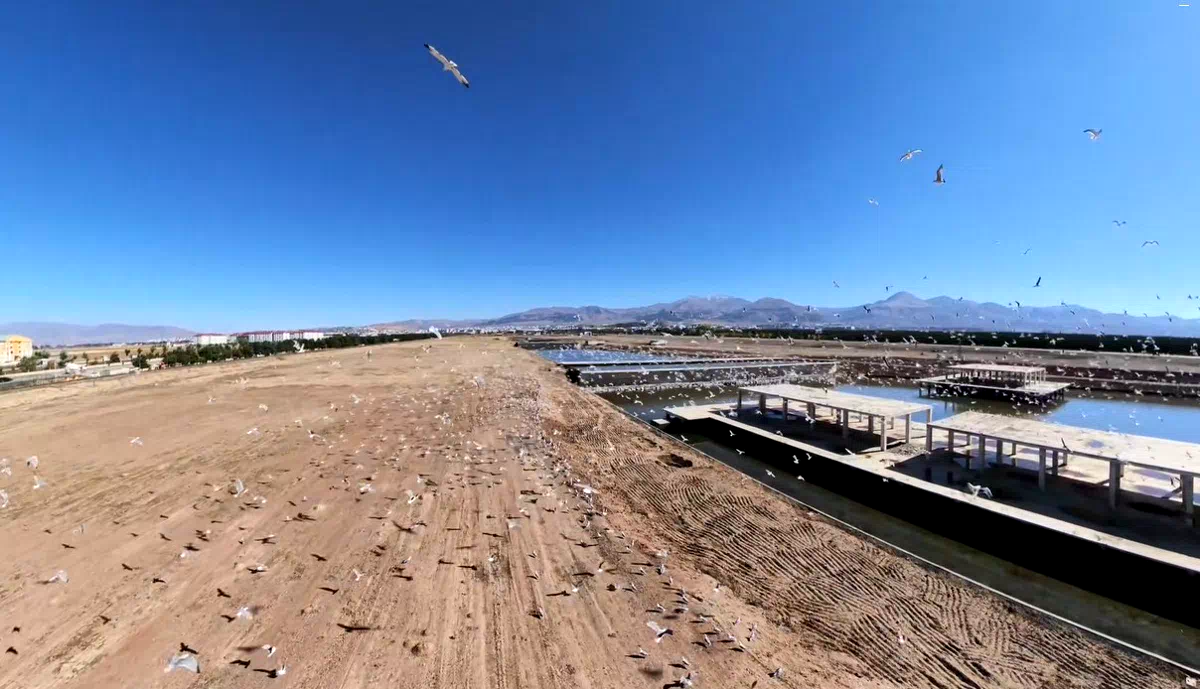 Erzurum’da binlerce martı dron kamerasına yansıdı