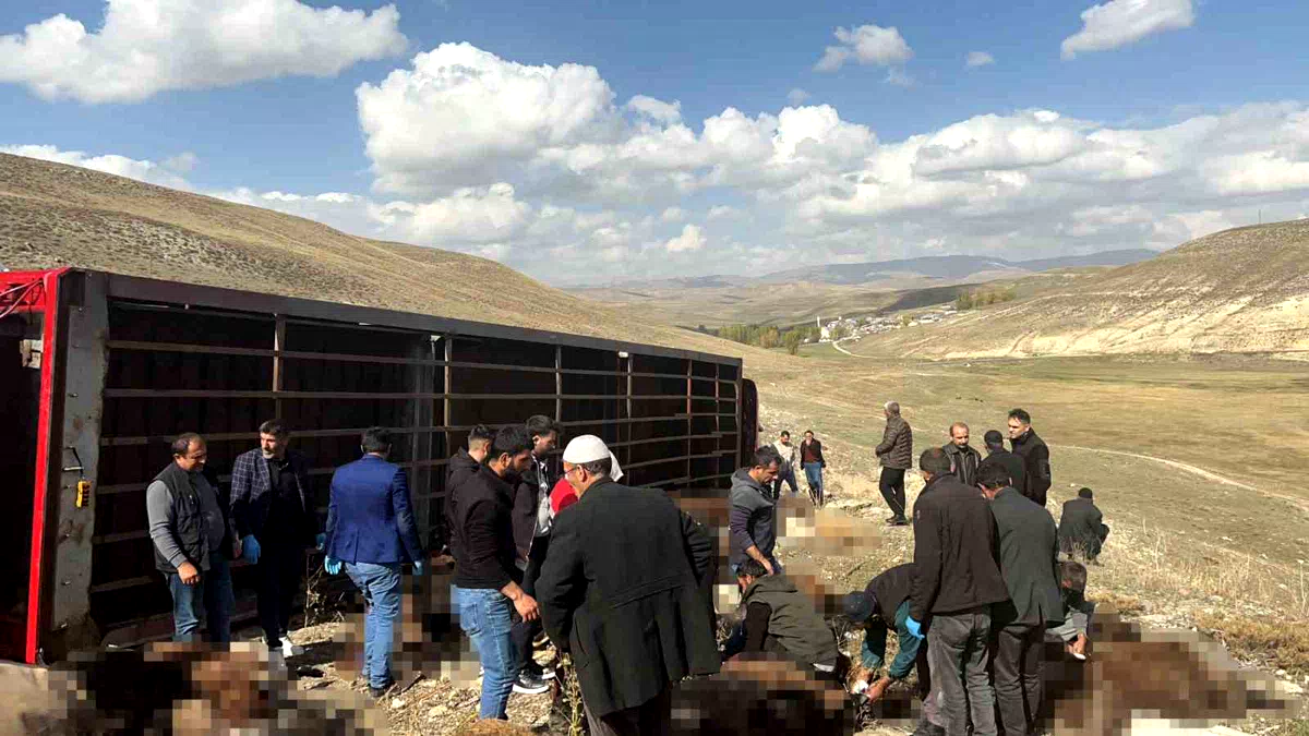 Erzurum’da hayvan yüklü tır devrildi: 130 küçükbaş hayvan telef oldu