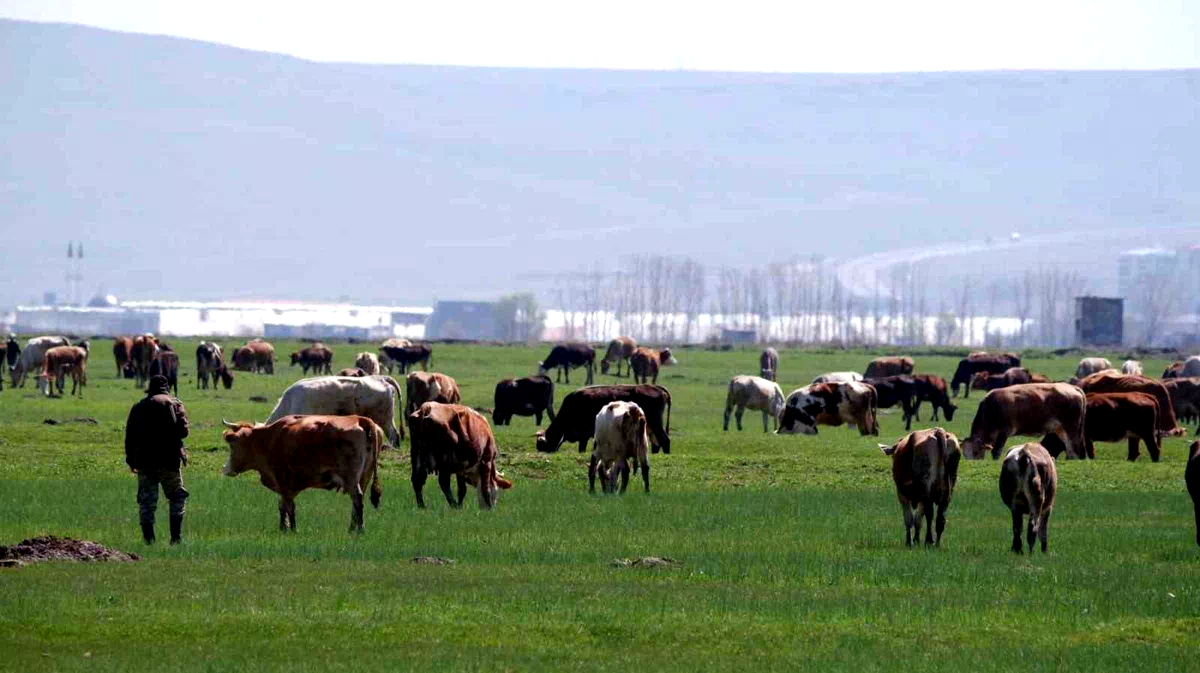 Erzurum’da kırsal kalkınmaya dev destek: 329 Projeye 171 Milyon TL hibe