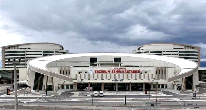 Erzurum’da Sağlıklı Hayat Merkezlerinde çevrim içi danışmanlık dönemi başladı