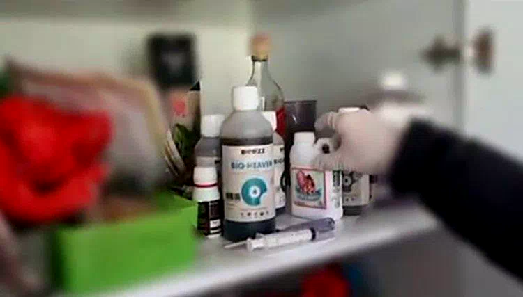 Evin bir odasını uyuşturucu serasına çeviren şüphelileri polis yakaladı