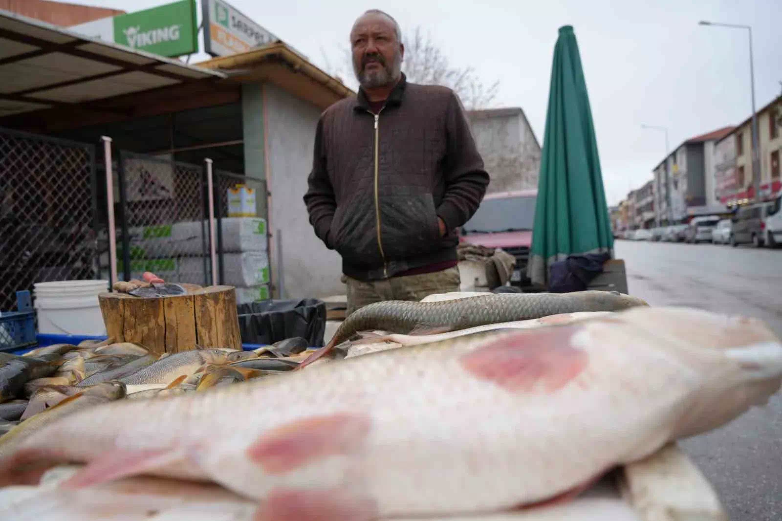 Fırat Balıkları Erzincan’da Rağbet Görüyor