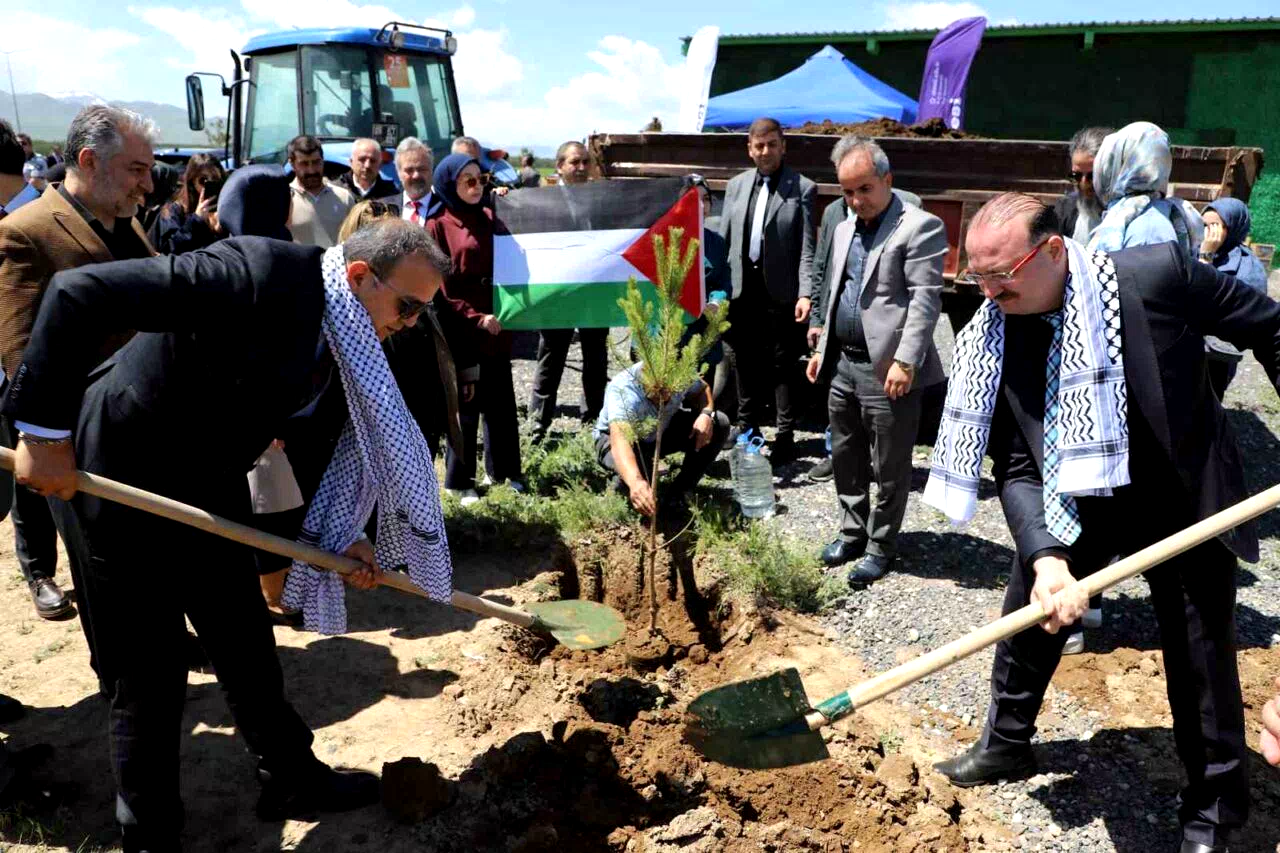 Gazze hatıra ormanında umut yeşerecek