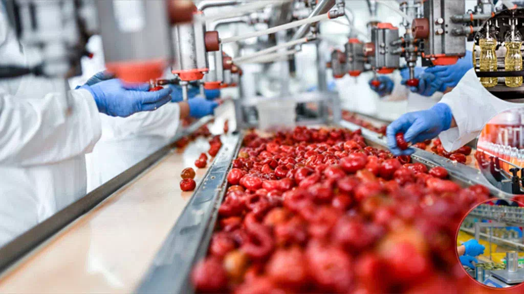 Gıda İşleme ve Pazarlama Sektörüne 527,1 milyon lira hibe verilecek