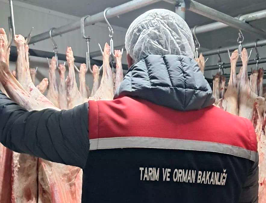 Gıda satışı yapan işletmeler denetlendi
