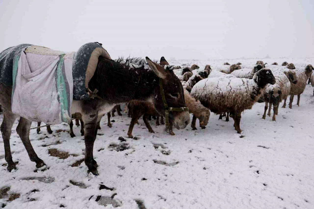 Göçerler kara yaylada yakalandı